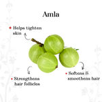 Buy Alps Goodness Powder - Amla (250 g)| 100% Natural Powder | No Chemicals, No Preservatives, No Pesticides| Natural Hair Mask - Purplle