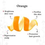 Buy Alps Goodness Powder - Orange (150 g)| 100% Natural Powder | No Chemicals, No Preservatives, No Pesticides | Can be used for Hair Mask and Face Mask | Nourishes hair follicles| Glow Face Pack| Orange Peel Face Pack - Purplle