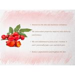 Buy Precious & Nature's Certified Organic & Cold-pressed Rosehip Oil; Anti-ageing & Brightening (15 ml) - Purplle