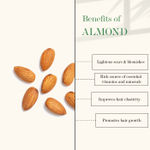 Buy Good Vibes Almond And Wheatgerm Cold Pressed Oil For Hair & Skin (100ml) - Purplle