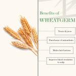 Buy Good Vibes Almond And Wheatgerm Cold Pressed Oil For Hair & Skin (100ml) - Purplle
