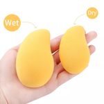 Buy AY Makeup Sponge Puff (Colour May Vary) - Pack of 3, Mango and Avacoda Shapes - Purplle