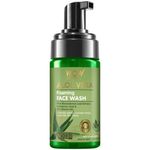 Buy WOW Skin Science Aloe Vera Foaming Face Wash for Cleansing & Hydrating Skin - (100 ml) - Purplle