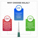 Buy Asfa Halal Long Stay Liquid Eyeliner, Matte, Green (3 ml) - Purplle