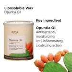 Buy Rica OPUNTIA OIL LIPOSOLUBLE WAX 800 ML - Purplle