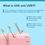 Buy DermDoc UVA & UVB Broad Spectrum Sunscreen with SPF 50 & PA+++ (50 gm)|For All Skin Type|No White Cast, Water & Sweat Resistant|Paraben Free, Sulfate Free, Cruelty Free - Purplle
