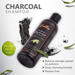 Buy Globus Naturals Clarifying Charcoal Shampoo (250 ml) - Purplle