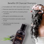 Buy Globus Naturals Clarifying Charcoal Shampoo (250 ml) - Purplle