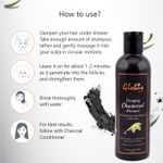 Buy Globus Naturals Clarifying Charcoal Shampoo (250 ml) - Purplle