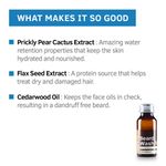 Buy Ustraa Beard Wash-Anti Dandruff-60ml - Purplle