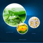 Buy ROREC Anti Aging Face Cream Hyaluronic Acid Serum Anti Wrinkle Day Cream for Mens Moisturizing Oil-control Whitening Acne Cream - Purplle