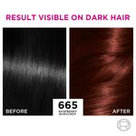 Buy L'Oreal Paris Casting Creme Gloss Hair Color, 665 Raspberry (87.5 g + 72 ml) - Purplle