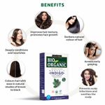 Buy Indus Valley Bio Organic Indigo Leaf Powder- 100g - Purplle