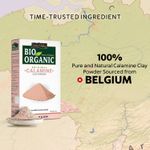 Buy Indus Valley bio organic 100% natural Calamine clay powder-250 g - Purplle