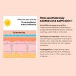 Buy Indus Valley bio organic 100% natural Calamine clay powder-250 g - Purplle