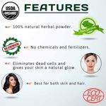 Buy Indus valley bio organic shikakai powder - Purplle