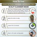 Buy Indus valley bio organic shikakai powder - Purplle