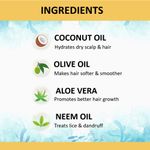 Buy Cocomo Natural Neem & Tea Tree Oil Kids Shampoo & Conditioner, Minty Fragrance, Reduces Hair Fall & Dandruff | Minty Sea 200ml (Age: 4+) - Purplle