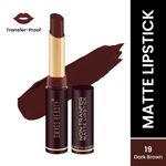 Buy Swiss Beauty Non-Transfer Matte Lipstick - 19 - Dark Brown - 2 gm - Purplle