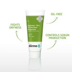 Buy The Derma co. Squalene + Zinc Oil-Free Moisturizer - Purplle