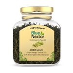 Buy Blue Nectar Amritanadi Assam Green Tea Loose leaves with Decongestant Lemongrass (50 gm + 15 gm Free | 33 Cup) - Purplle
