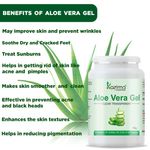 Buy KAZIMA Aloe Vera Gel Raw (1 KG) - 100% Pure Natural Gel - Ideal for Skin, Face, Acne Scars, Hair, Moisturizer & Dark Circles - Purplle