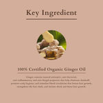 Buy Lotus Organics+ Intensive Scalp Revitalizing Hair Tonic | 100% Organic Ginger Oil | Sulphate Free Hair Serum | All Hair Types | 100ml - Purplle
