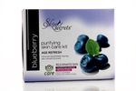 Buy Skin Secrets Blueberry Facial Kit - 410gm - Purplle