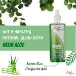 Buy Skin Secrets Neem & Aloe Skin Toner - 500 ml - Purplle