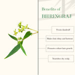 Buy Good Vibes Amla & Bhringraj Strengthening Hair Oil | Hair Growth, Prevents Damage | No Parabens, No Sulphates, No Mineral Oil (100 ml) - Purplle