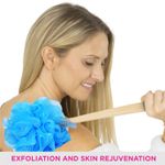 Buy VEGA Wooden Handle Bath Brush (BA-1/6) ( Color May Very ) - Purplle