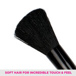 Buy VEGA Set of 6 Brushes (MBS-06) - Purplle