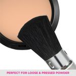 Buy VEGA Blush Rectractable Brush (EV-19(RT)) - Purplle