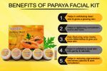 Buy NutriGlow Papaya Fruit Facial Kit For Blemish Free Fairer Complexion (260 gm) With Blue Hair Dryer - Purplle