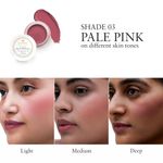 Buy Just Herbs Lip and Cheek Tint -03 Pale Pink - 4 gm - Purplle