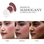 Buy Just Herbs Lip and Cheek Tint -04 Mahogany - 4 gm - Purplle