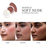 Buy Just Herbs Lip and Cheek Tint -05 Soft Nude - 4 gm - Purplle