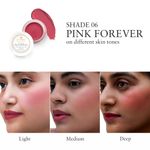 Buy Just Herbs Lip and Cheek Tint -06 Pink Forever - 4 gm - Purplle