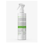 Buy Ktein Cosmetics Hair Holding SprayAA 200 ml - Purplle