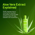 Buy Rivona Naturals Aloe Vera Shampoo | Aloe Vera + Neem | Deep Cleansing and Nourishing | For Men & Women | All Hair types |250 ml - Purplle