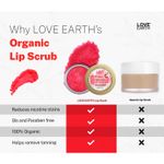 Buy Love Earth Organic Lip Scrub With Shea Butter And Vitamin-E For Lip Hydration And Repair 30gm - Purplle
