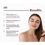 Buy Love Earth Onion Shampoo With Onion, Reetha & Aloe Vera Extract For Hair Strengthening, Smooth & Frizz Free Hair 200ml - Purplle