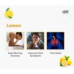 Buy Love Earth Reed Diffuser Lemon Scent Toxin-Light Frangrance 30 ml - Purplle