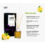 Buy Love Earth Reed Diffuser Lemon Scent Toxin-Light Frangrance 30 ml - Purplle