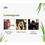 Buy Love Earth Reed Diffuser Lemongrass Light -Fragrance - Purplle