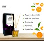 Buy Love Earth Reed Diffuser- Tangerine - Purplle