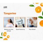 Buy Love Earth Reed Diffuser- Tangerine - Purplle