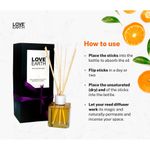 Buy Love Earth Reed Diffuser- Tangerine - Purplle