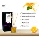 Buy Love Earth Reed Diffuser Orange Light Fragrance - Purplle