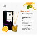 Buy Love Earth Reed Diffuser Orange Light Fragrance - Purplle